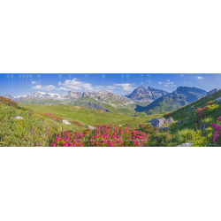 Massif de la Vanoise - De la Dent Parrachée à la Grande Casse